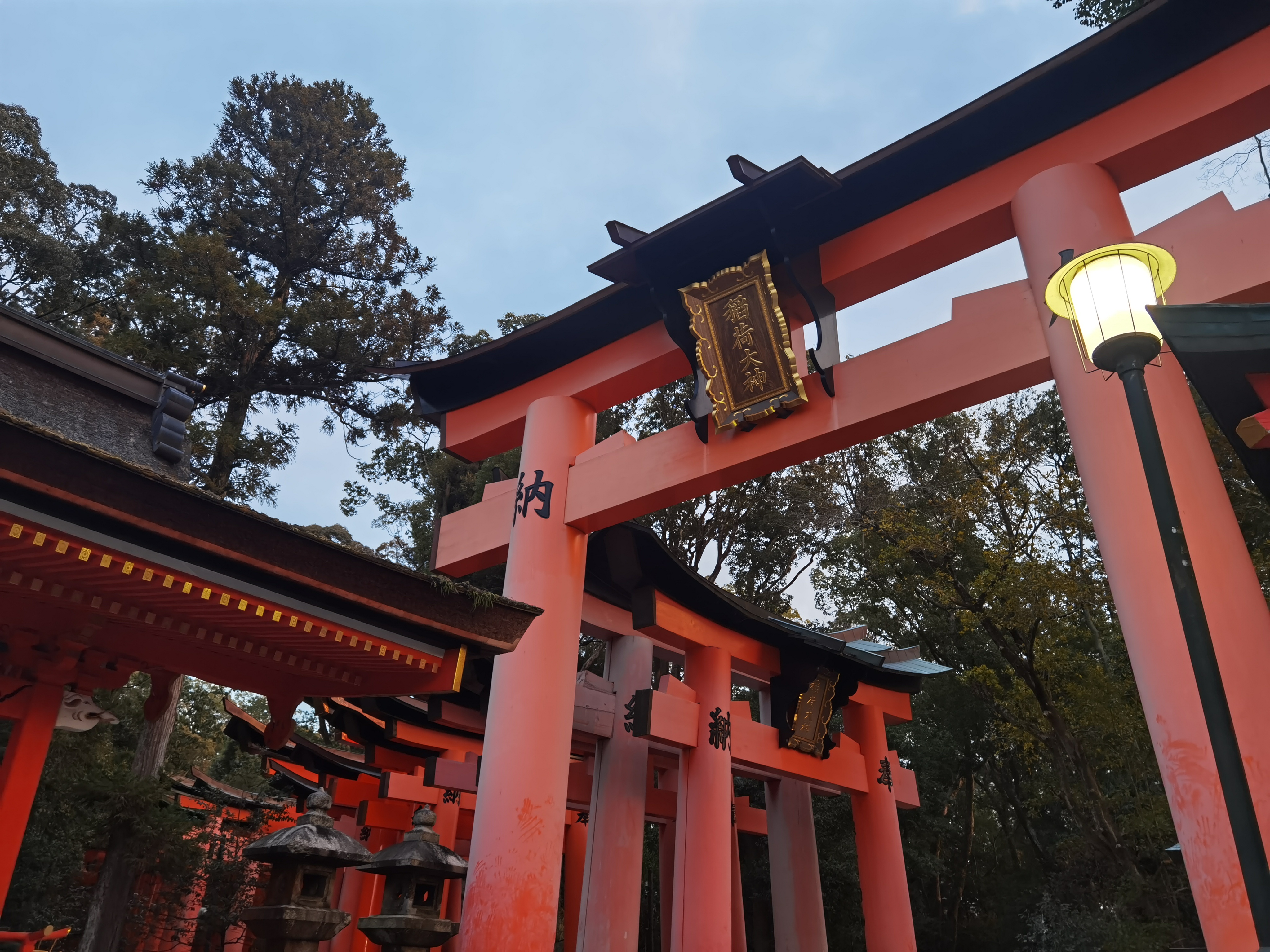 torii