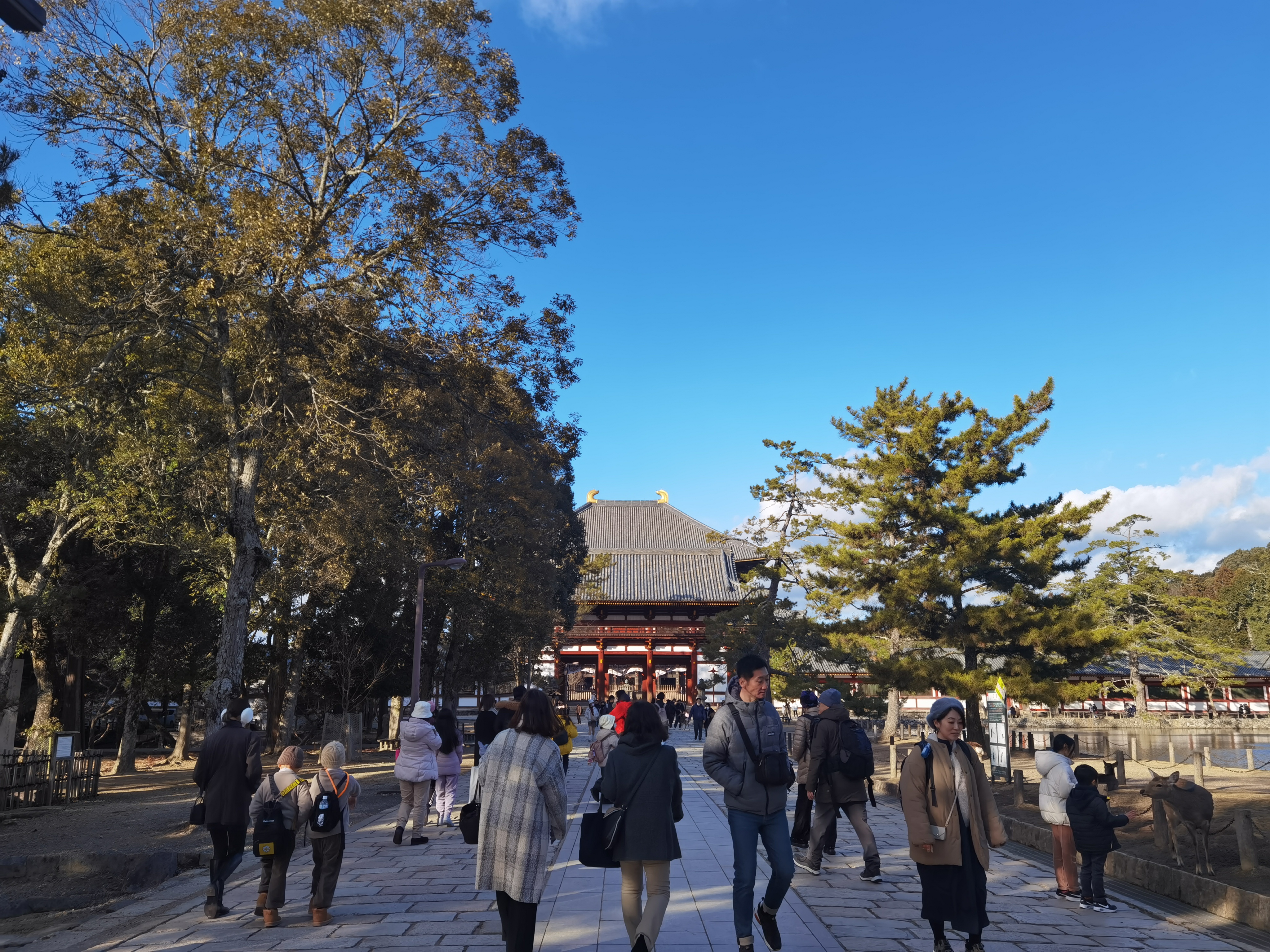 toudaiji1